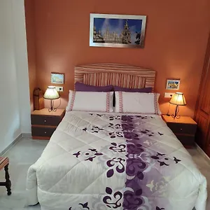 https://calle-jose-payan-n-28-1-b.es-andalucia.com